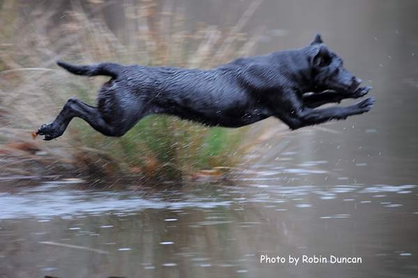 gem_DSC_web 0826.jpg